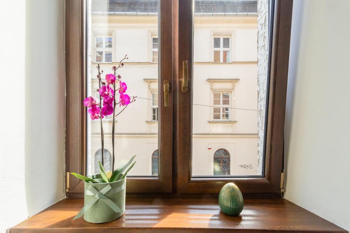 Cherish Bloom * Krakow